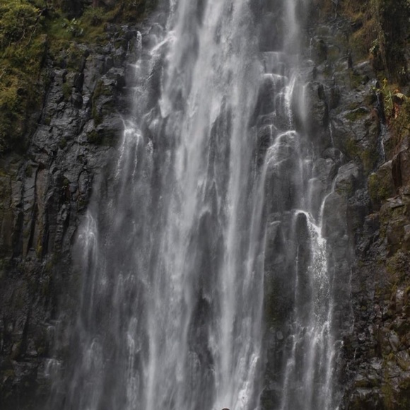 Meet your Posher, Marley - Picture 10 of 11